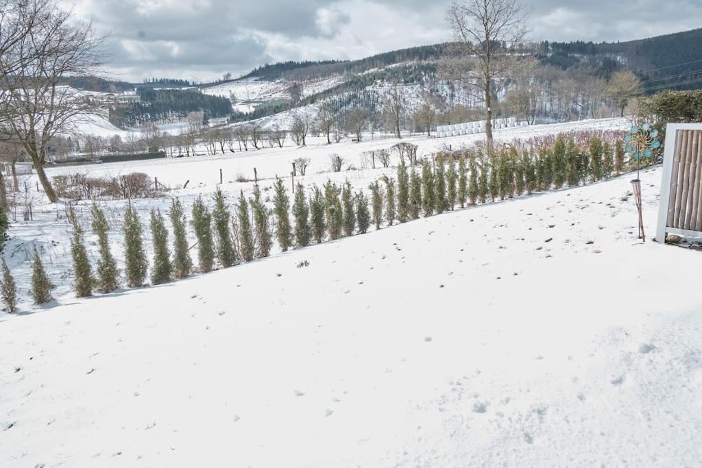 Milana Naturpanorma, Ruhig & Familienfreundlich Winterberg Buitenkant foto